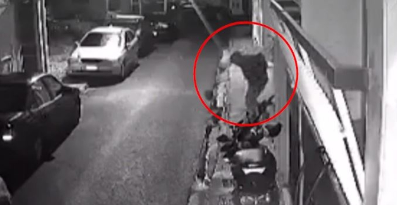 Οκτώ χρόνια χωρίς αναστολή στον 33χρονο που σκότωνε γάτες στον Βοτανικό
