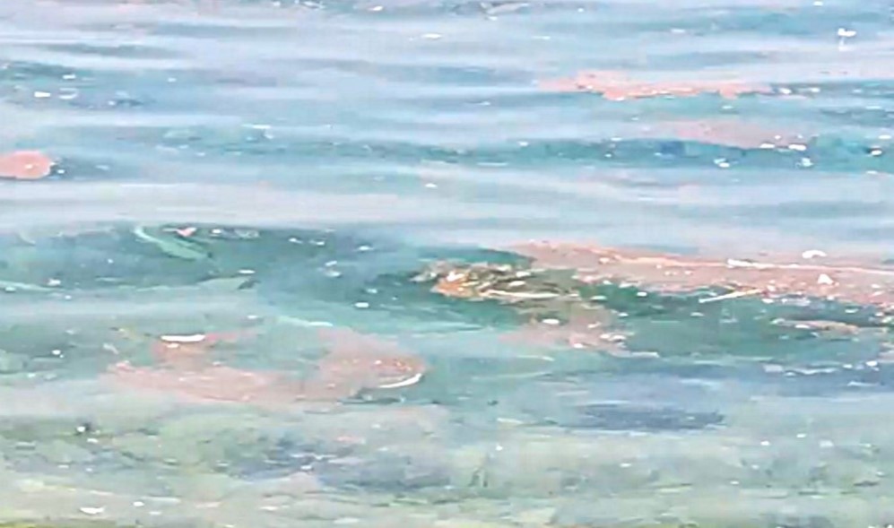 Η ΕΥΔΑΠ μετατρέπει σε "ΧΑΒΟΥΖΑ" τον Ευβοϊκό 