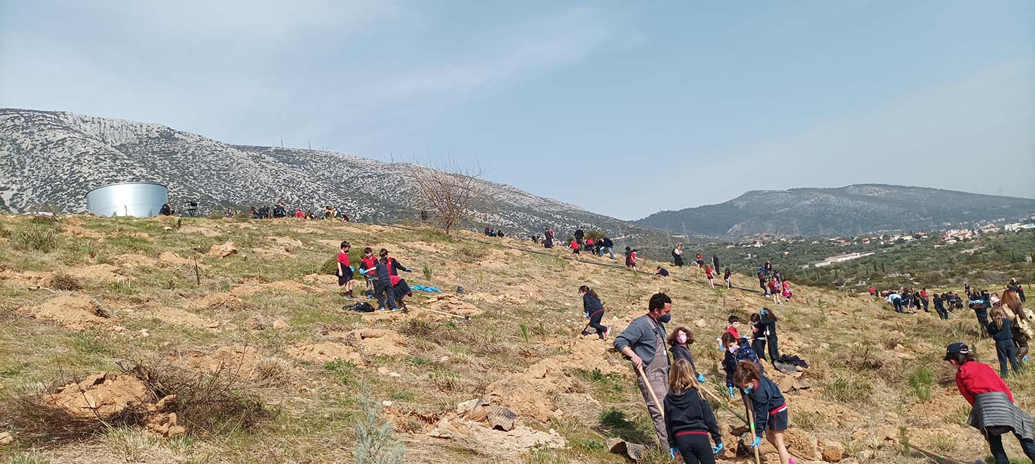Δήμος Παιανίας: Επιπλέον 1.000 δέντρα στην παλαιά χωματερή - Ξεκινά μεγάλο πρόγραμμα δενδροφύτευσης
