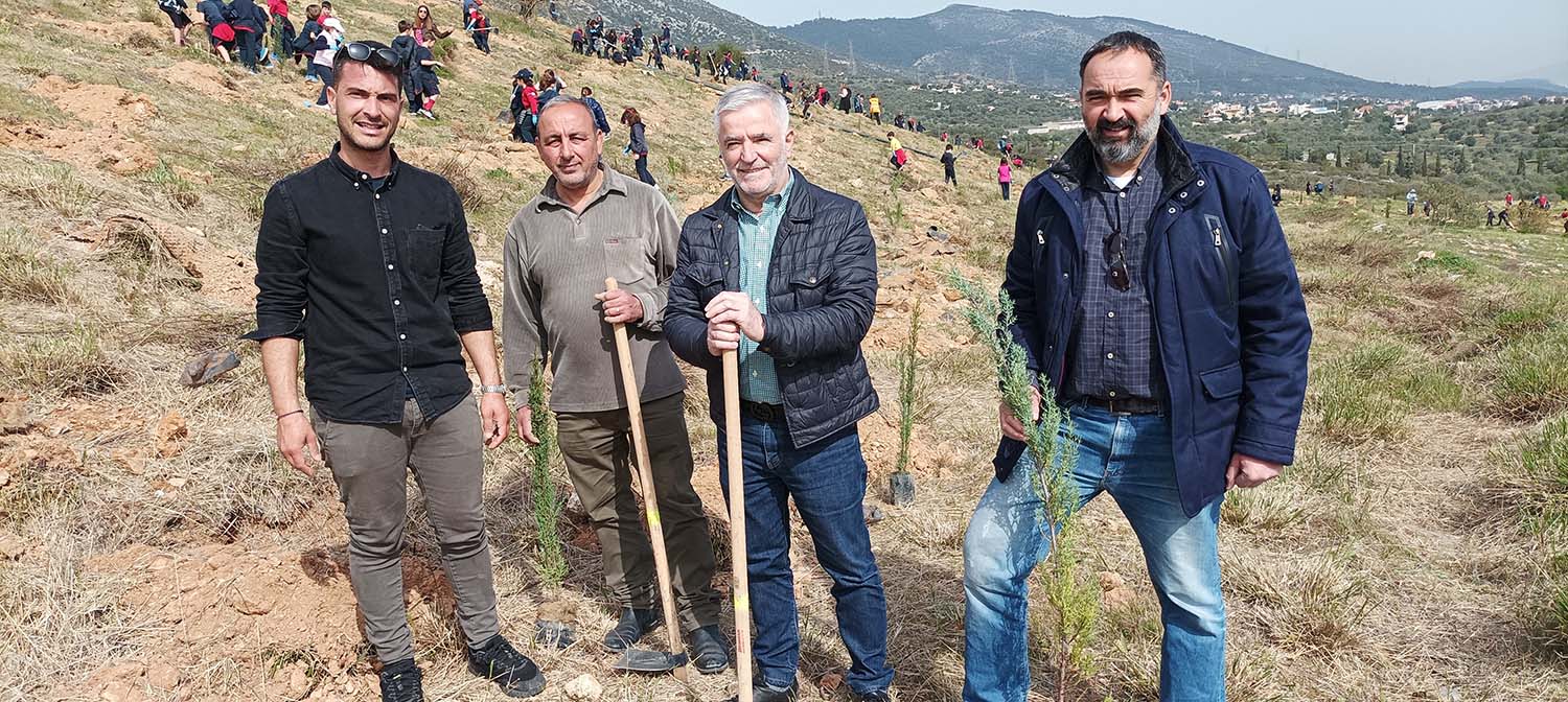 Δήμος Παιανίας: Επιπλέον 1.000 δέντρα στην παλαιά χωματερή - Ξεκινά μεγάλο πρόγραμμα δενδροφύτευσης