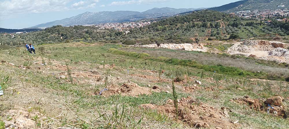 Δήμος Παιανίας: Επιπλέον 500 νέα δέντρα στην παλαιά χωματερή με την στήριξη της ΚΑΥΚΑΣ