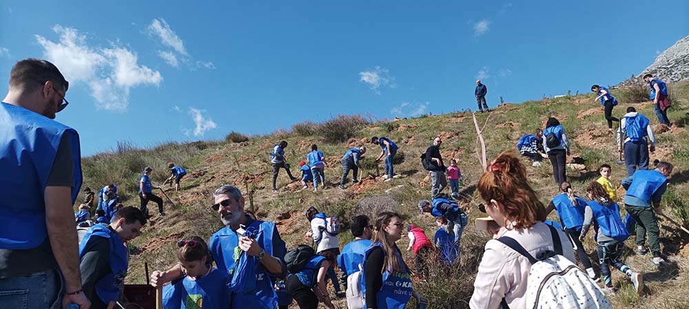 Δήμος Παιανίας: Επιπλέον 500 νέα δέντρα στην παλαιά χωματερή με την στήριξη της ΚΑΥΚΑΣ