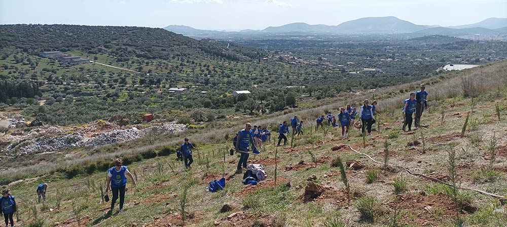 Δήμος Παιανίας: Επιπλέον 500 νέα δέντρα στην παλαιά χωματερή με την στήριξη της ΚΑΥΚΑΣ