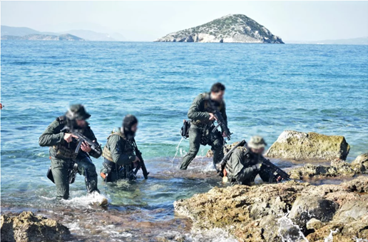 πευκο7